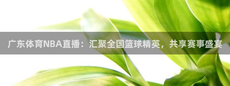 广东体育NBA直播：汇聚全国篮球精英，共享赛事盛宴