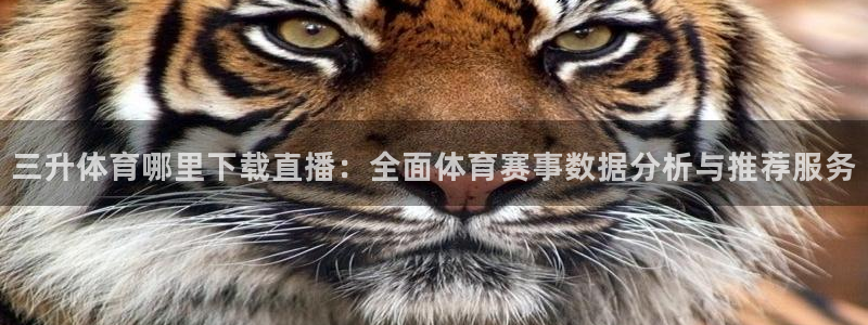 三升体育哪里下载直播：全面体育赛事数据分析与推荐服务