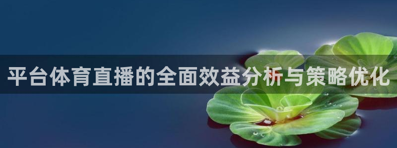 平台体育直播的全面效益分析与策略优化