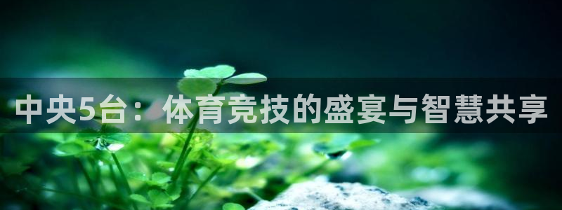 中央5台：体育竞技的盛宴与智慧共享